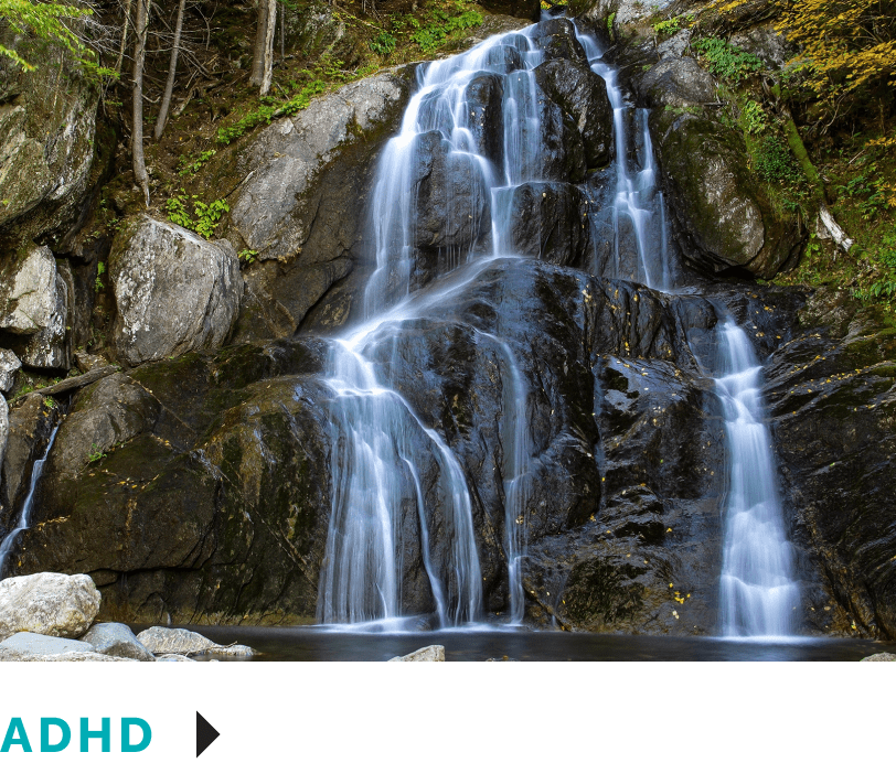 adhd-min (1)